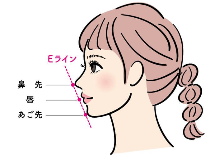 理想的な横顔をつくるEラインとは？